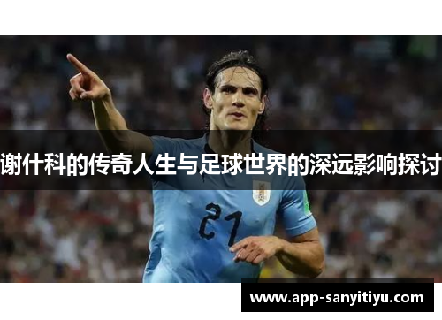 谢什科的传奇人生与足球世界的深远影响探讨